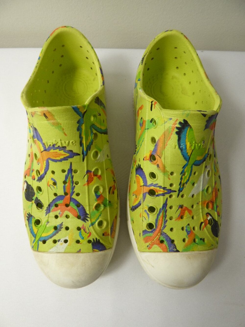 Native Kids' Green Bird Print Jefferson Shoes, Size 13